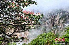  12家旅游景区上市公司 黄山旅游76.57亿元市值最高