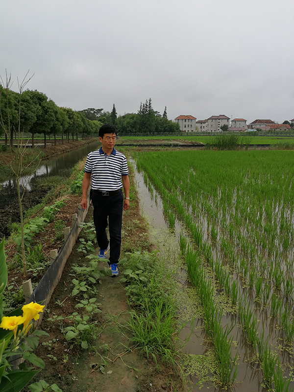  新时代奋斗者|在崇明岛上发展生态农业，是他一生的追求