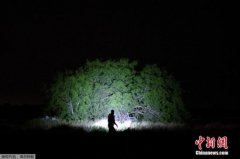 外媒：特朗普或任命移民强硬派为国安部移民总管