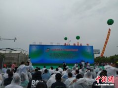 “2019东台西瓜节”启幕 八成头茬瓜已被订购