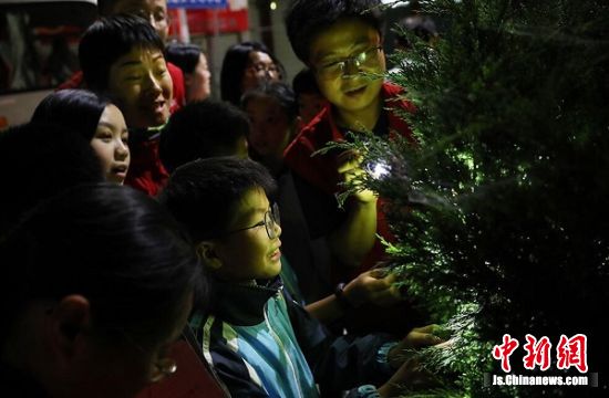 来自合肥的虞磊带领孩子们夜观小动物。中新社记者 泱波 摄