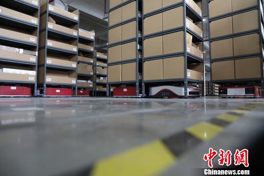 广州黄埔京东物流仓一期约8000平方米,拥有100个“地狼”机器人。 钟欣 摄