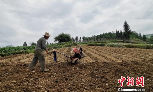 山坡上一位农户正在翻地准备栽种辣椒。 刘忠俊 摄