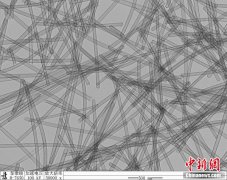 中国科大仿北极熊毛发成功研制一种保温材料