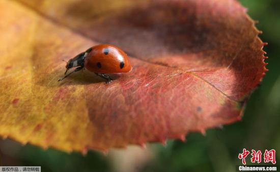 点击进入下一页