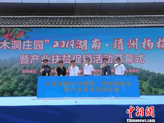 2019湖南靖州杨梅节暨产业扶贫促销活动开幕。 杨语博 摄