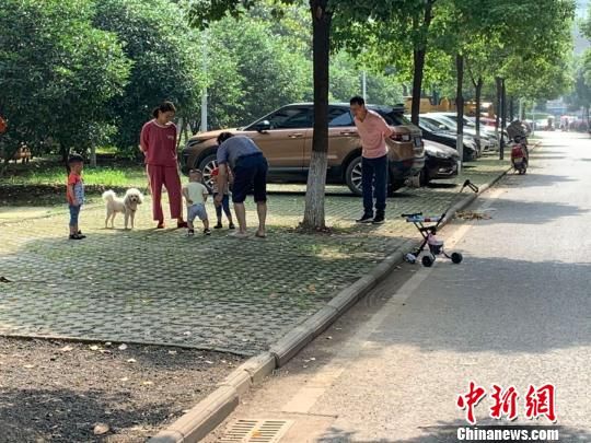 图为武汉社区居民正在遛狗 武一力 摄