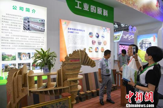 6月17日，在2019安徽秸秆综合利用产业博览会上，阜阳展台前用秸秆制作的工艺品。