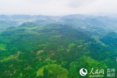 贵州黔西古胜村冯长书：治理荒山13年 贫困乡村换新颜
