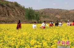 甘肃西峰乡村旅游“多点开花” 市民休闲观光选择广