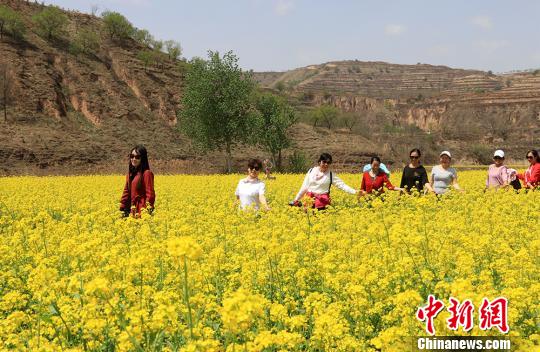 甘肃西峰乡村旅游“多点开花”市民休闲观光选择广