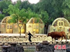 陕西佳县农民“演”农村生活实景剧 以特色民俗发展乡村旅游