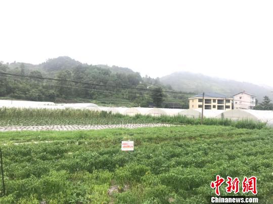 图为南坪村。 冷桂玉 摄