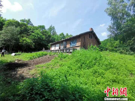 饶河东北黑蜂:独拥亚洲唯一保护区有机成熟蜜远销欧盟