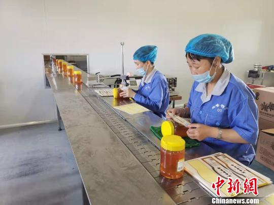 饶河东北黑蜂产业集团生产车间里,工人正在为蜂蜜贴标。 姜辉 摄