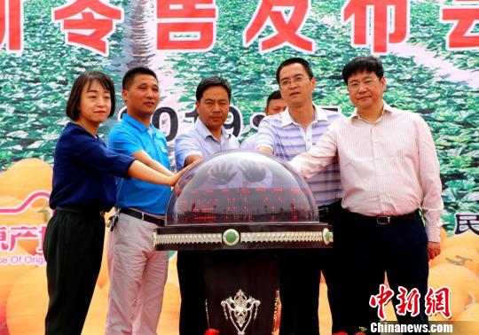 图为第二届民勤蜜瓜全网发售仪式暨正宗原产地新零售发布会现场。 马爱彬 摄