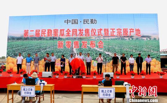 图为民勤大漠蜜瓜“触网”闯天下。 马爱彬 摄