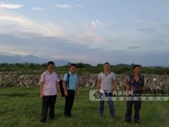 莫运全：退伍军人莫运全返乡创业纪实