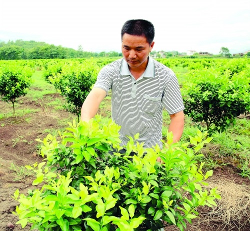 邓根新.jpg