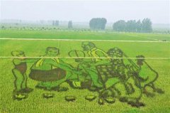 红色沃土 美丽确山