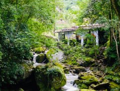农家乐发源地青城山，网红民宿发展得怎样? 蒋瞰