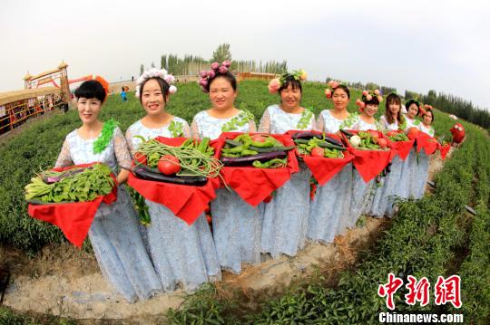 图为当地民众盛装打扮在田园里采摘果蔬。 何阳 摄