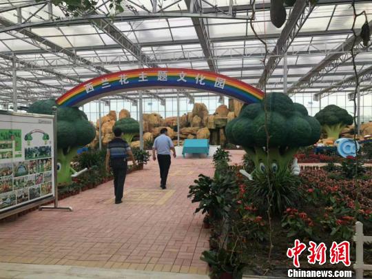 图为江苏大地九丰现代农业项目内的西兰花主题文化园。　于从文 摄
