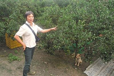 点击进入下一页