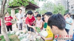 开发小程序帮卖菜 研发“黑科技”助力医疗