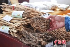 甘肃“中医药经济”提质增效 产业链日趋完善助脱贫