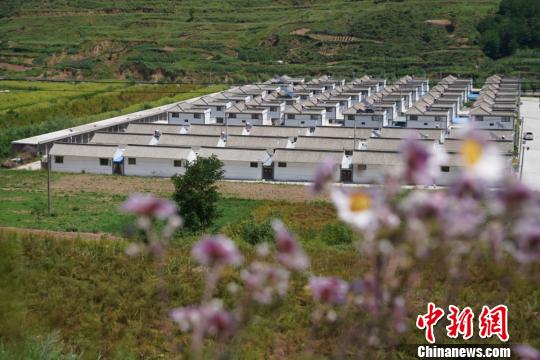 图为清水县永清镇双杨新村新貌。　郭纪雄 摄