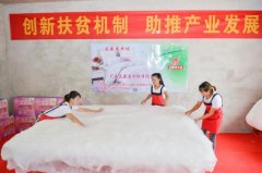 “花乡媒体行”到横县大沙村委扶贫桑蚕产业示范园参观