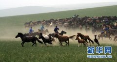 马文化正在成为内蒙古草原旅游新亮点