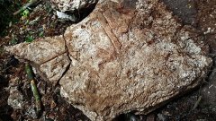 科学家发现古代文字与环境证据：极端战争让玛雅文明走向崩溃
