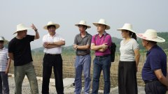 哈大专家教授把脉柳州螺蛳粉产业基地