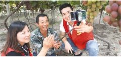 “短视频+”玩法真不少