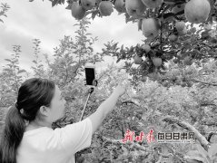 礼县来了“脱贫特派员” 创新脱贫新模式