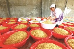 织金：“绿色银行”里的“硬通货”