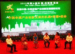 首届中国—东盟幸福产业创新发展国际论坛在南宁国际会展中心举行