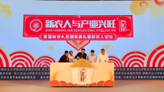 拼多多拟发行8.75亿美元可转债 将继续重投农产品上行等项目