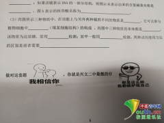 四川一高中现“表情包试卷” 老师：希望激发学生学习兴趣