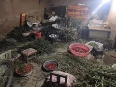 尉氏县公安局蔡庄派出所打掉一专门盗窃农作物犯罪团伙，3名犯罪嫌疑人全部落网