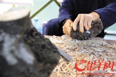 东莞举行采香日文化活动 “头香”拍得13万元善款