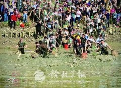 西溪湿地洪园“干塘节”体验别样水乡风情
