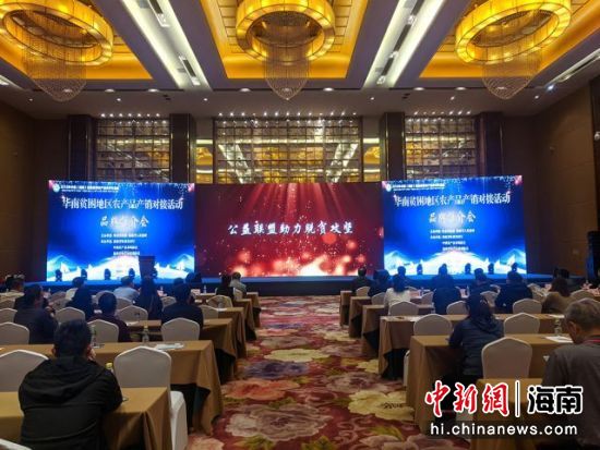 图为推介会现场。凌楠摄