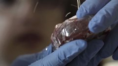 加拿大科学家研发可自我清洁塑料薄膜，或能对抗超级细菌