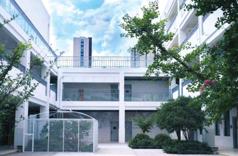 　　南环实验小学的大鸟笼。　　图片由学校提供