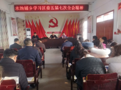 河南商丘：梁园区水池铺乡传达学习区委五届七次全会精神