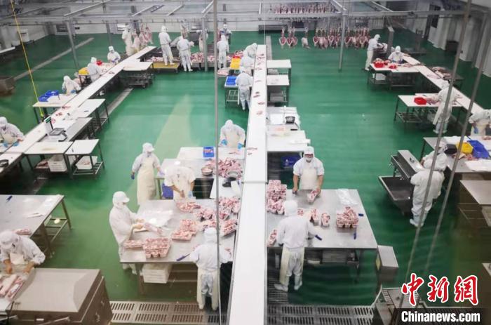 甘肃首次出口冻羊尾油“甘味”特色进入科威特