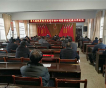  柘城县岗王镇：统筹做好疫情防控和经济社会发展工作